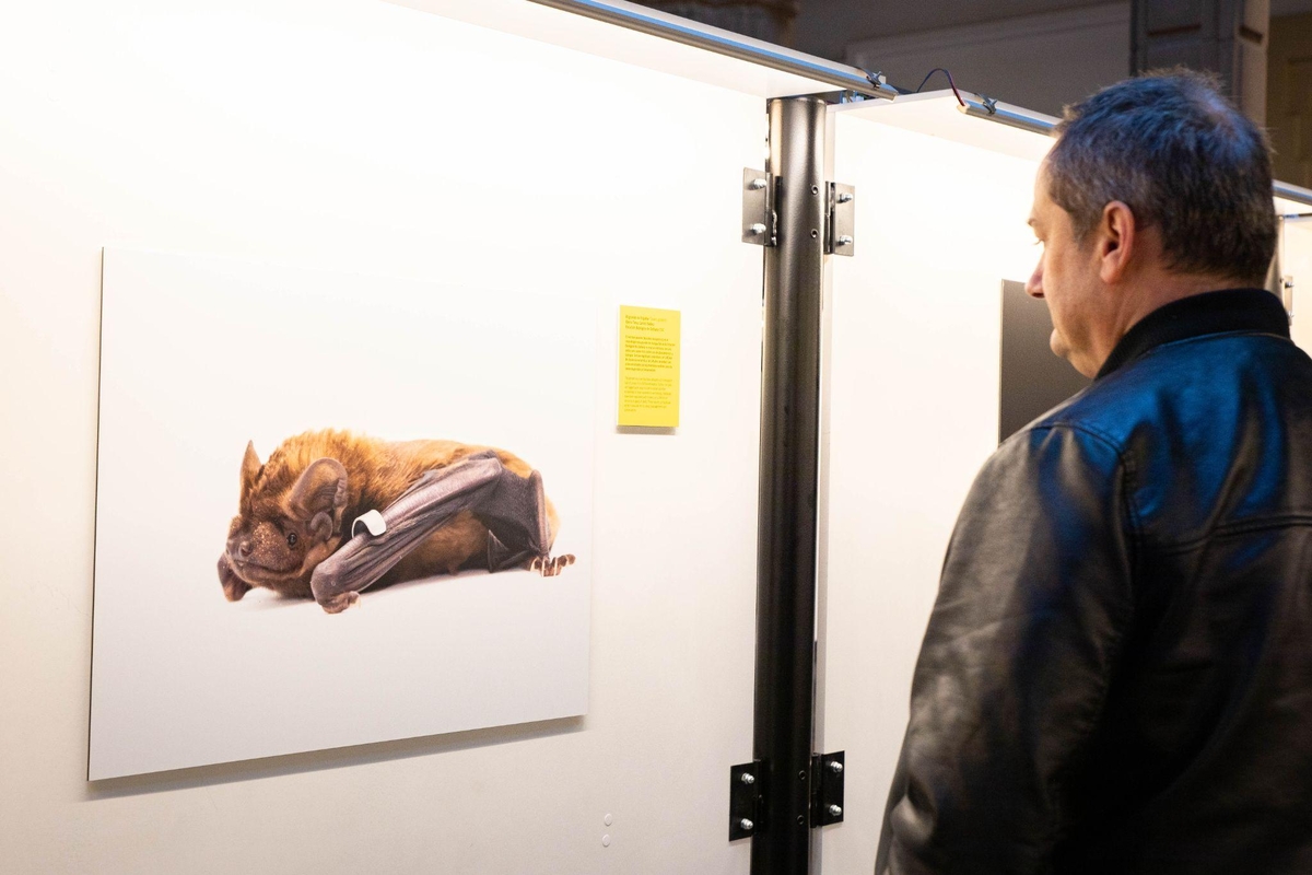 Expo Foto-LifeHUB
