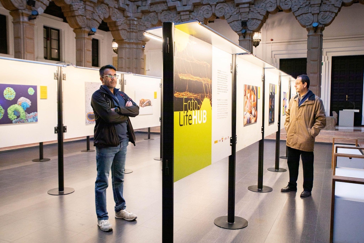 Expo Foto-LifeHUB