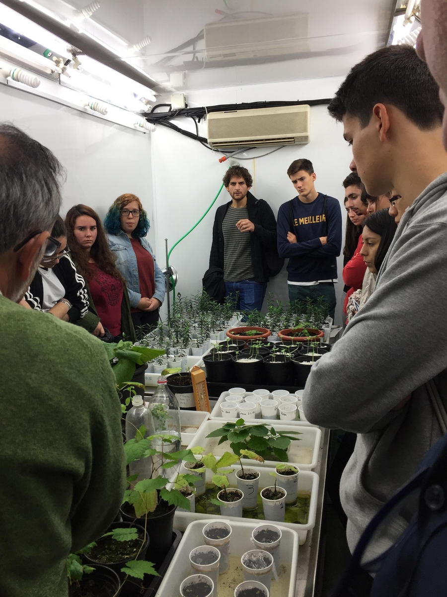 El CSIC celebra con más de sesenta actividades la Semana de la Ciencia y Tecnología en Andalucía