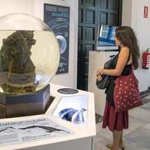 Las mar de cetáceos en Andalucía