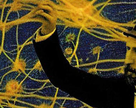 Bajo el cielo de Cajal
