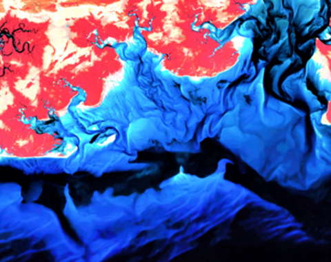 Las costas desde el Espacio: Una mirada científica a través de las imágenes de los satélites Sentinel-2