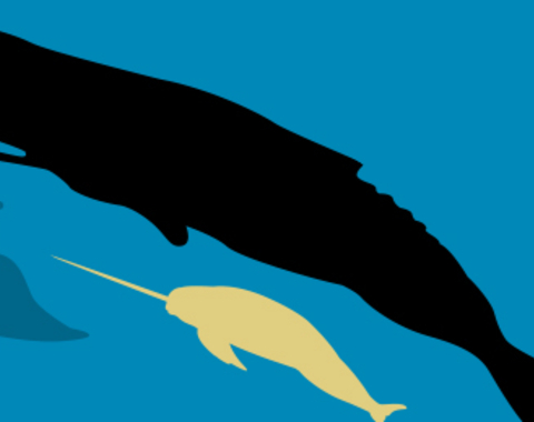 Taller Minimoby dick y los unicornios marinos