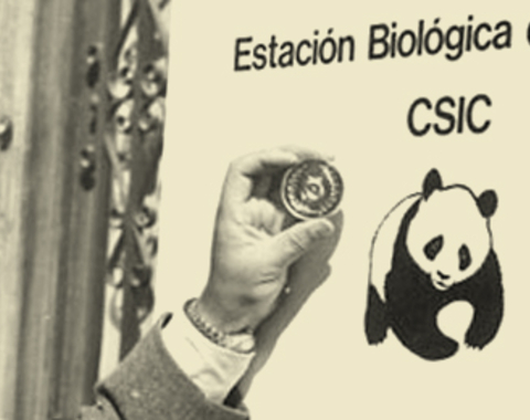 Ciencia y Conservación en Doñana: El legado de Jose Antonio Valverde para el siglo XXI