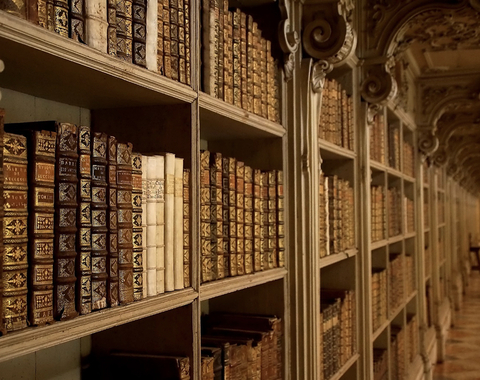 Templos de sabiduría: las bibliotecas