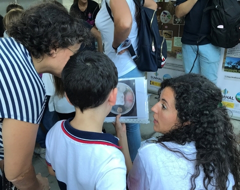 Taller Curiosa Ciencia