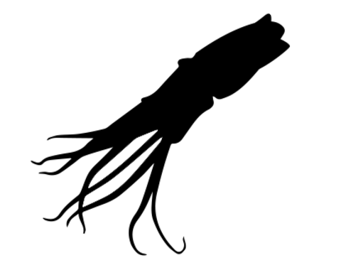 Otto, el kraken gaditano 