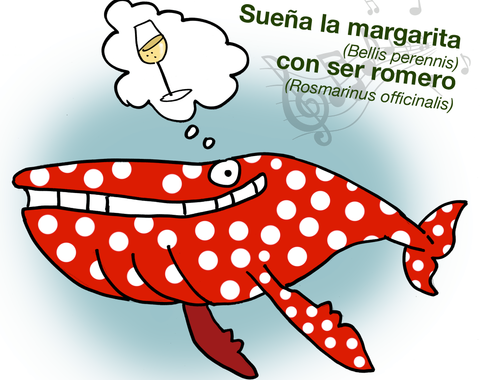 Marino