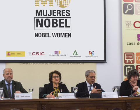 Presentación Exposición