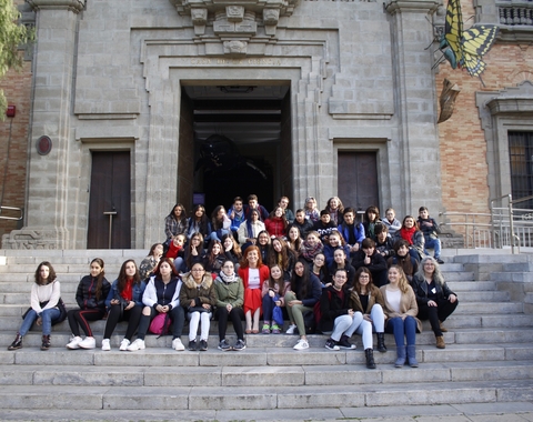 CARRERAS STEM 1