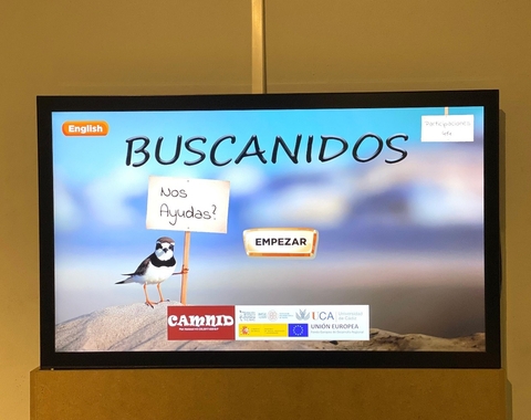 Buscanidos