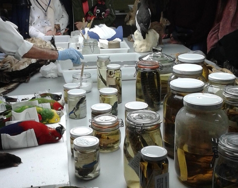 Semana de la Ciencia y Tecnología en Andalucía 1