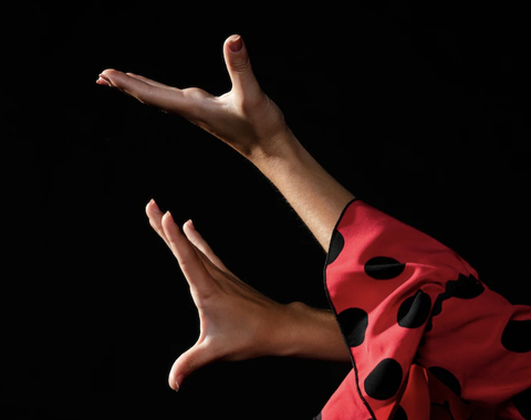 El flamenco también es una ciencia