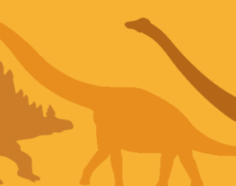 Taller Dino-camisetas