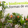 Andalucía, laboratorio de biodiversidad