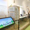 Andalucía, laboratorio de biodiversidad