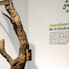 Andalucía, laboratorio de biodiversidad