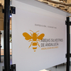 La exposición “Abejas silvestres de Andalucía” se estrena mañana en la Casa de la Ciencia de Sevilla