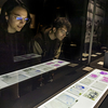Brain(s) exhibition 
