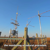 Virtual window to Doñana: cutting-edge science for the 21st century