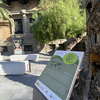 Los jardines y el cambio climático FOTO: J.A. Sencianes