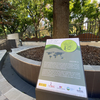 Los jardines y el cambio climático FOTO: J.A. Sencianes