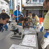 El CSIC y CDLC participan en la II Feria “Ciencia en la Calle” en Jerez de la Frontera