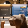 Exposición