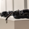 Virtual window to Doñana: cutting-edge science for the 21st century