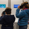 Virtual window to Doñana: cutting-edge science for the 21st century