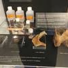 Exhibition We are CSIC